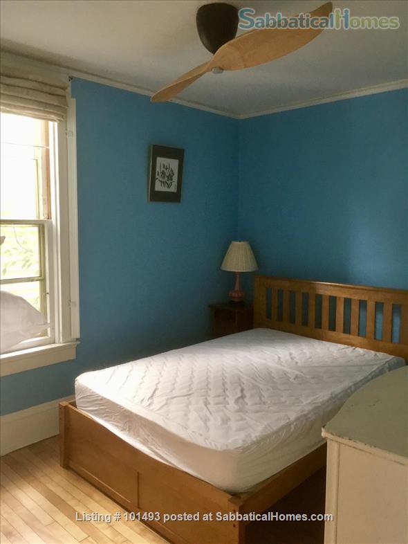 1 bedroom Apartment or Condo for rent in Madison listing 101493