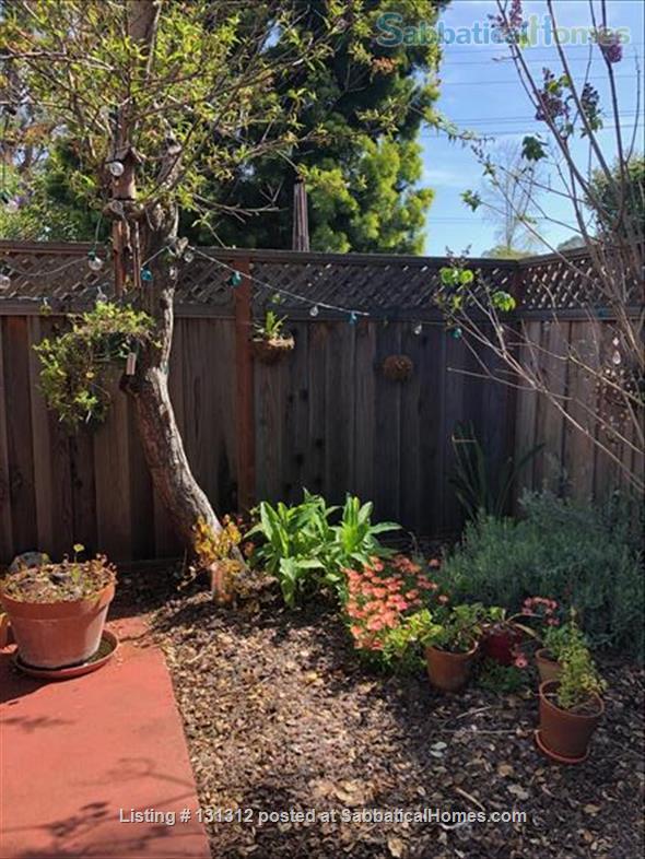 3 bedroom Apartment or Condo for rent in Santa Cruz listing 131312