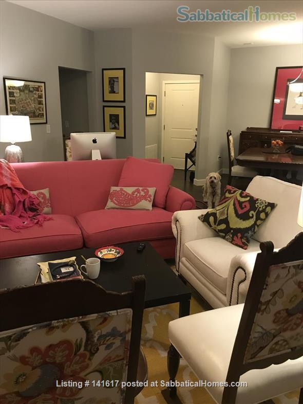 1 bedroom Apartment or Condo for rent in Iowa City listing 141617