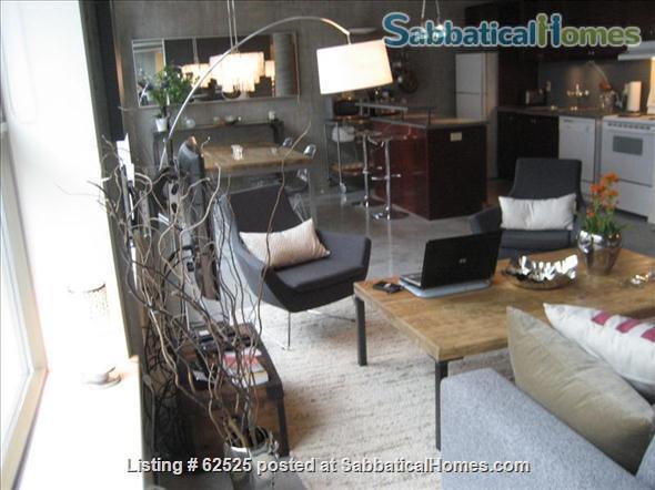 1 bedroom Studio or Loft for rent in Toronto listing 62525