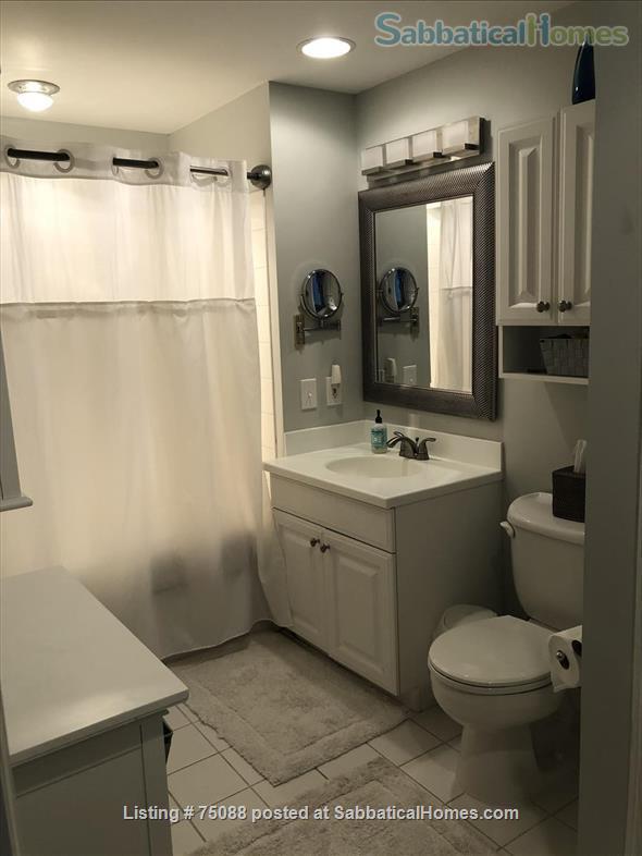 1 bedroom Apartment or Condo for rent in Boston listing 75088